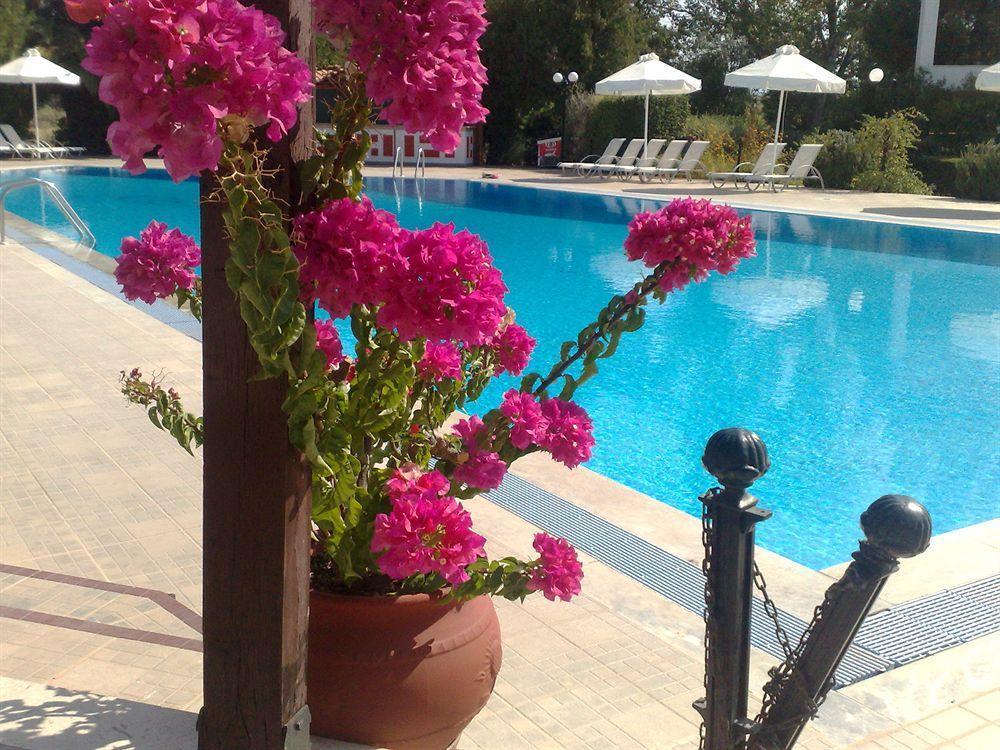 Pasiphae Hotel Skala Kallonis Zewnętrze zdjęcie